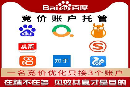 百度竞价推广托管实战：某行业巨头的成功经验
